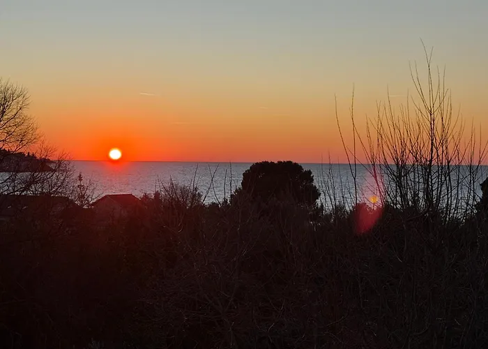 Διαμέρισμα Robi