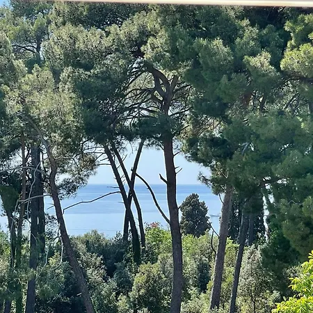 Apartment Robi Rovinj